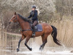 2016 TREC Træning 16 april